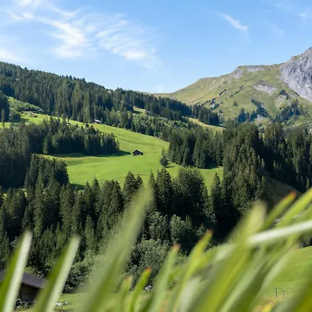 Schermtanne Kulinarik Und Wohnen *
