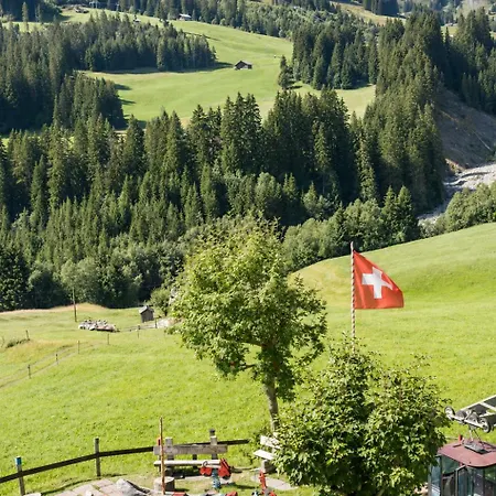 Apartamento Schermtanne Kulinarik Und Wohnen Adelboden